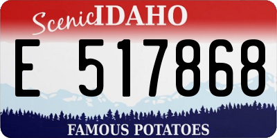 ID license plate E517868