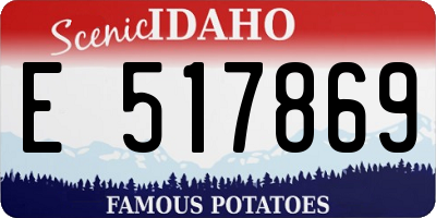 ID license plate E517869
