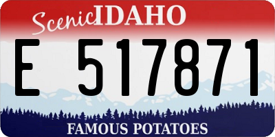 ID license plate E517871