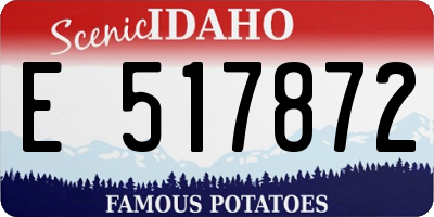 ID license plate E517872