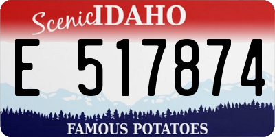 ID license plate E517874