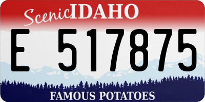 ID license plate E517875