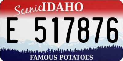 ID license plate E517876