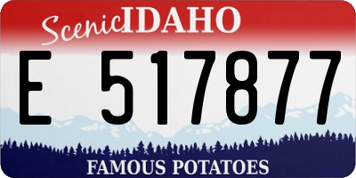 ID license plate E517877