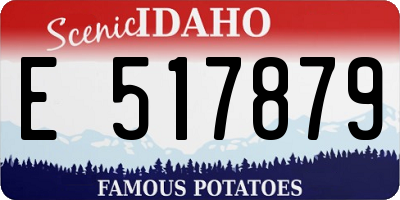 ID license plate E517879