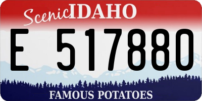 ID license plate E517880