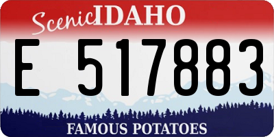 ID license plate E517883