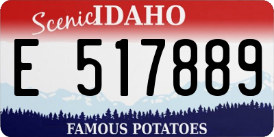 ID license plate E517889
