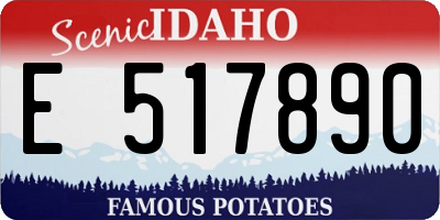 ID license plate E517890