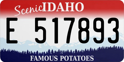 ID license plate E517893
