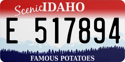 ID license plate E517894