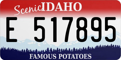 ID license plate E517895