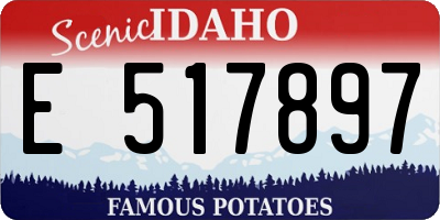 ID license plate E517897