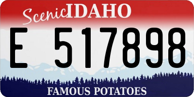 ID license plate E517898