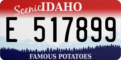 ID license plate E517899