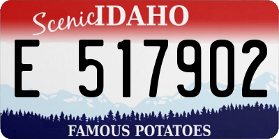ID license plate E517902