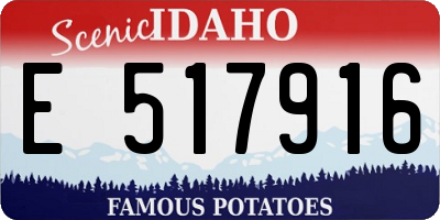 ID license plate E517916
