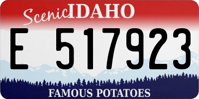 ID license plate E517923