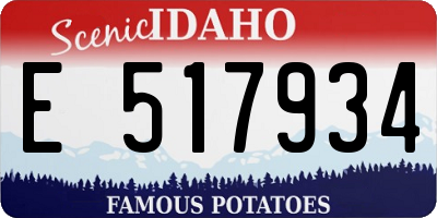 ID license plate E517934