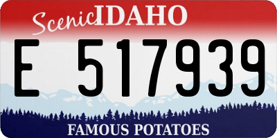 ID license plate E517939