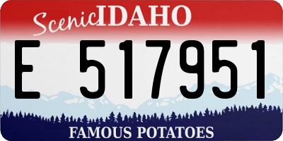 ID license plate E517951