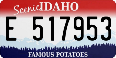 ID license plate E517953