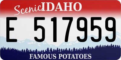ID license plate E517959