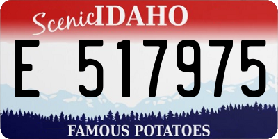 ID license plate E517975