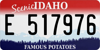 ID license plate E517976