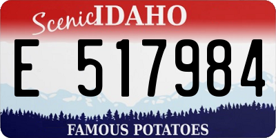 ID license plate E517984