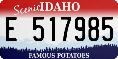 ID license plate E517985