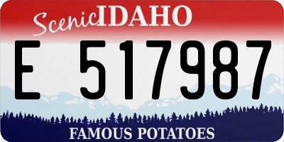 ID license plate E517987
