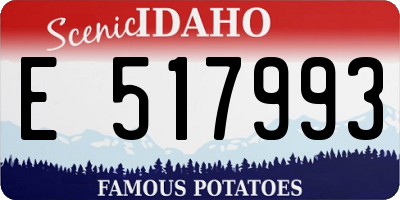 ID license plate E517993