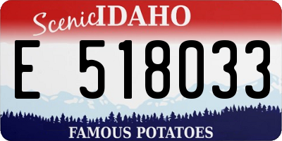 ID license plate E518033