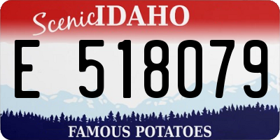 ID license plate E518079
