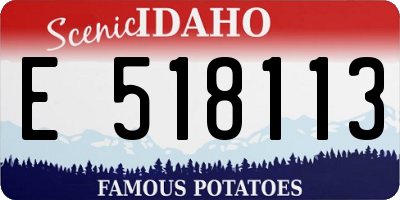 ID license plate E518113