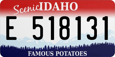 ID license plate E518131