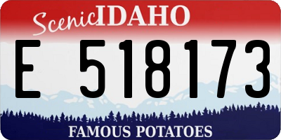ID license plate E518173