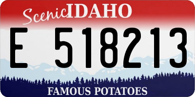 ID license plate E518213