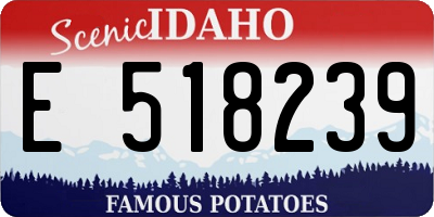 ID license plate E518239