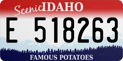 ID license plate E518263