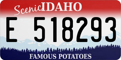 ID license plate E518293