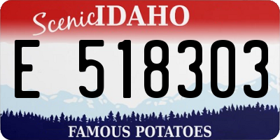 ID license plate E518303