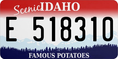 ID license plate E518310