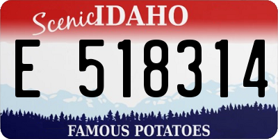ID license plate E518314