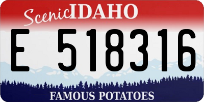 ID license plate E518316