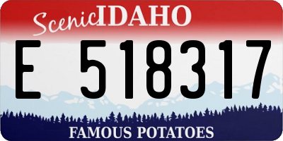 ID license plate E518317