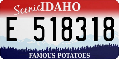 ID license plate E518318