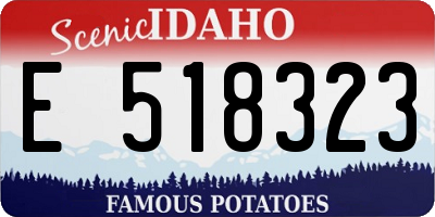 ID license plate E518323