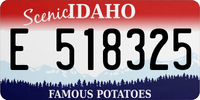 ID license plate E518325